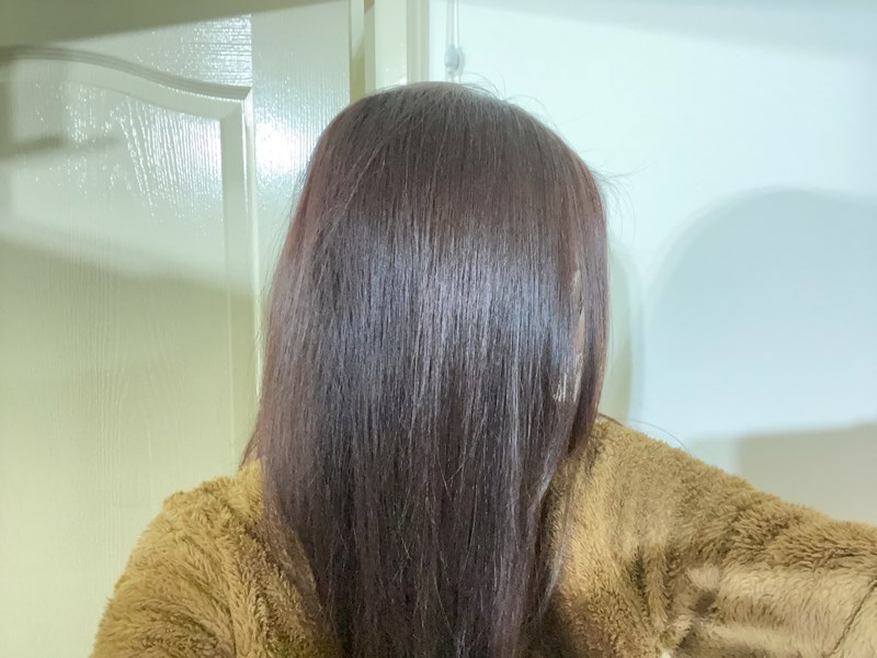 試用